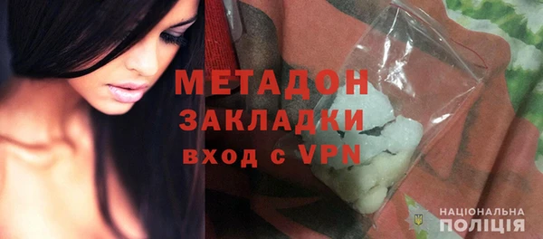 гидра Няндома