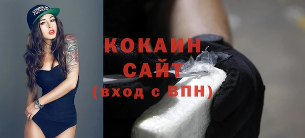 дурь Болотное