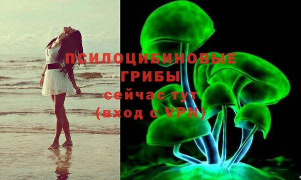 гидра Няндома