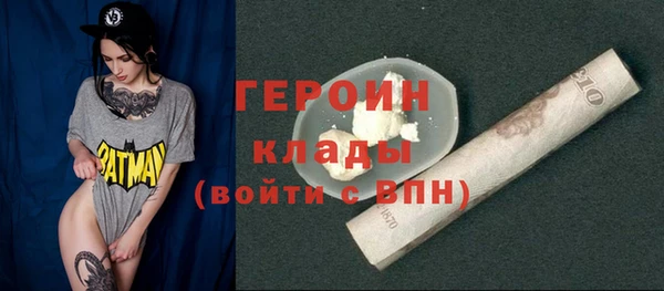 гидра Няндома