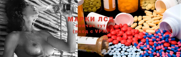 гидра Няндома
